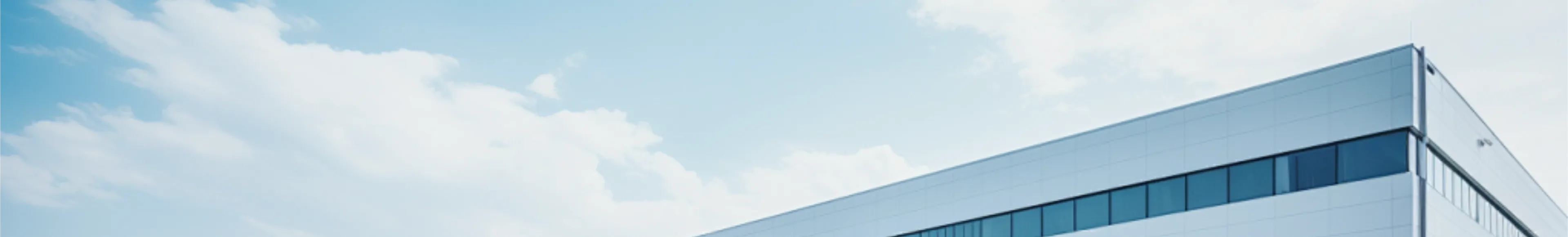 Company Profile